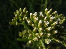 RIMG0293