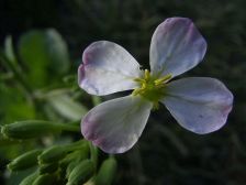 RIMG0298