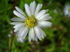 RIMG0754