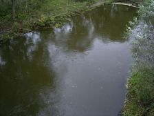 RIMG0796
