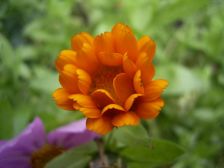 RIMG0863