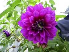RIMG0866
