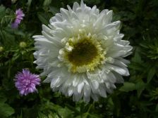 RIMG0874