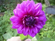 RIMG0876