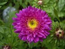 RIMG0877