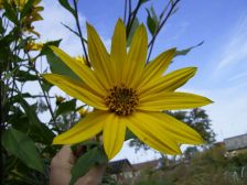 RIMG0889