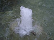 IMGP2743