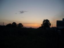 IMGP3120