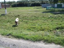 IMGP3140