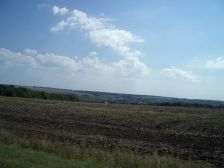 IMGP3143