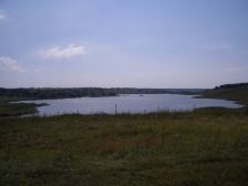 IMGP3145