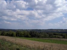 IMGP3149