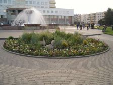 IMGP1745