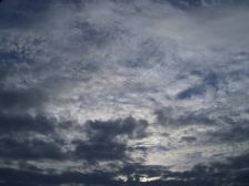 IMGP2228