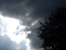 IMGP2431