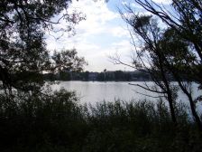 IMGP2432