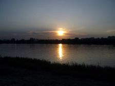 IMGP2448