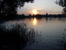 IMGP2454