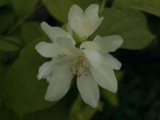 IMGP0702