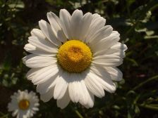IMGP0732
