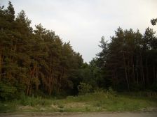 IMGP0992