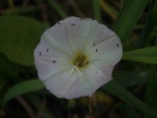 IMGP1259