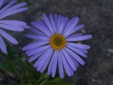 IMGP1283