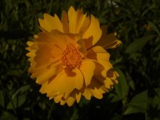 IMGP1296
