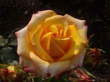 IMGP1394