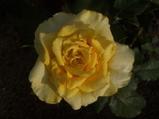 IMGP1398
