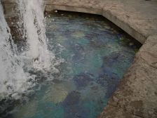 IMGP0406