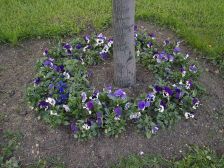 IMGP0426