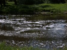 IMGP0462