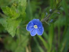IMGP0471