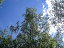 IMGP0473