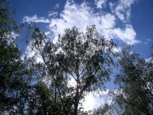 IMGP0474