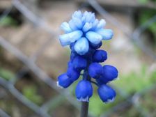 IMGP0553