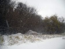 IMGP4289