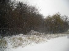 IMGP4290