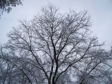 IMGP4368