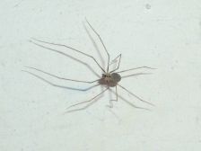 IMGP4415