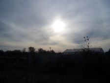 IMGP4051