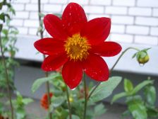 IMGP3366