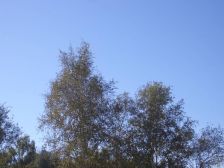 IMGP3493