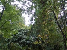 IMGP3765