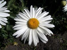 IMGP6057