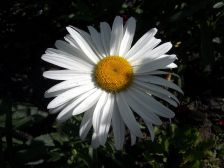 IMGP6058