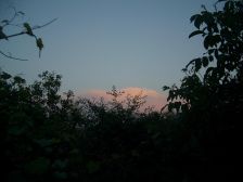 IMGP5968