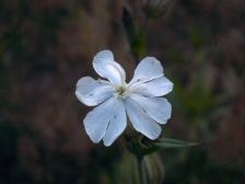 IMGP5972