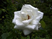 IMGP5989